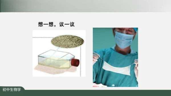 2.1.4  细胞的生活 课件（共26张PPT）