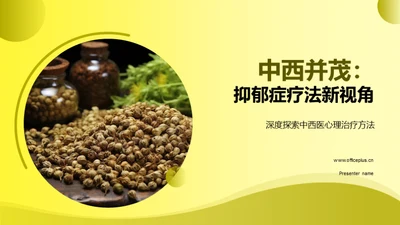 中西并茂：抑郁症疗法新视角