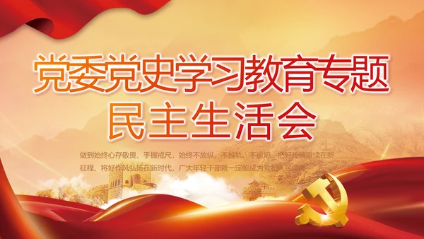 党委党史学习教育专题民主生活会PPT