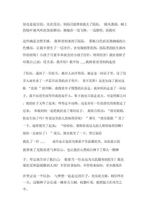 与梦想一起走过的日子作文1200字