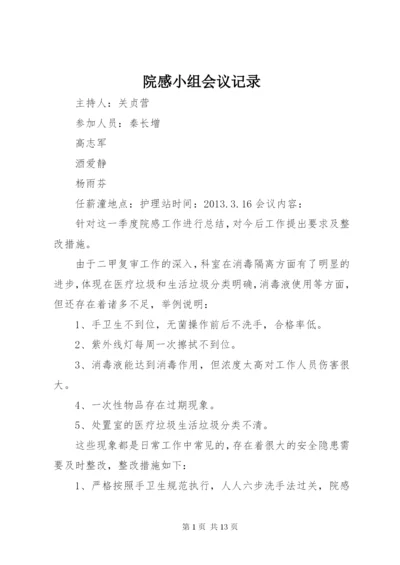 院感小组会议记录.docx