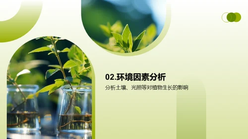 植物生长与教学创新