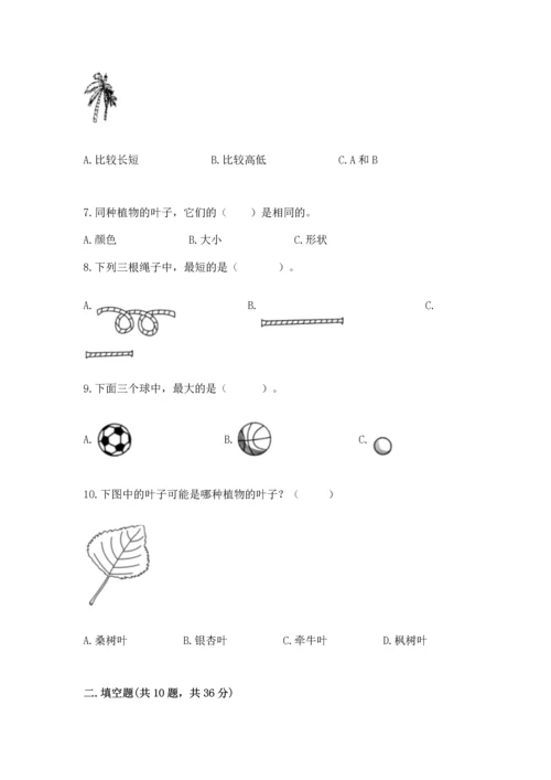 教科版一年级上册科学期末测试卷【易错题】.docx