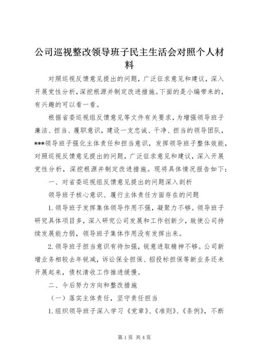 公司巡视整改领导班子民主生活会对照个人材料.docx