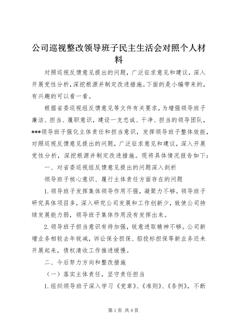 公司巡视整改领导班子民主生活会对照个人材料.docx