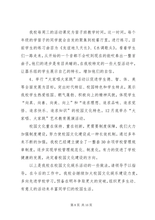 乡镇文化娱乐活动总结.docx