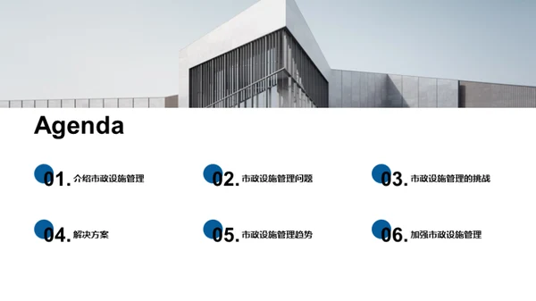 城市脉络：市政设施管理新视野