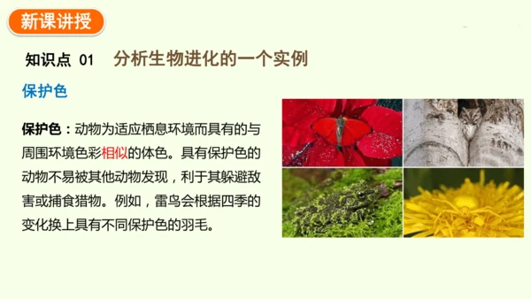 7.3.3生物进化的原因-八年级生物人教版下学期同步精品课件(共44张PPT)