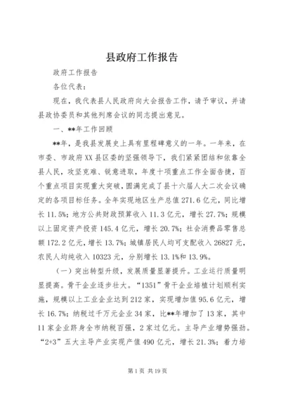 县政府工作报告 (31).docx