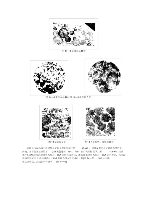 水泥熟料的岩相分析