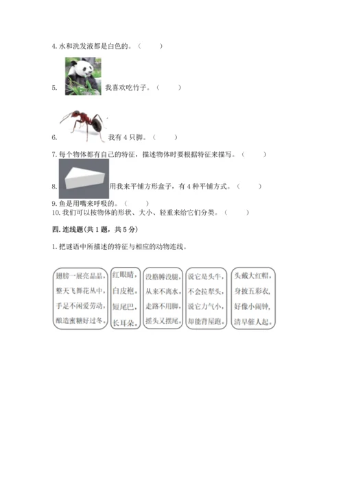 教科版一年级下册科学期末测试卷【预热题】.docx