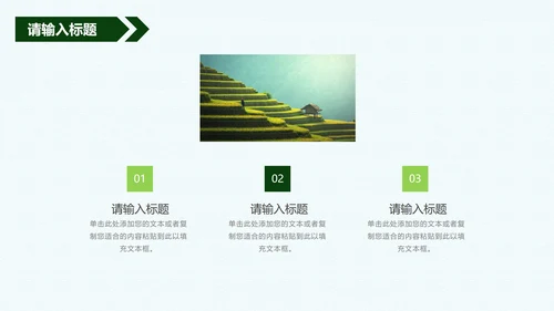 振兴乡村方案PPT模板