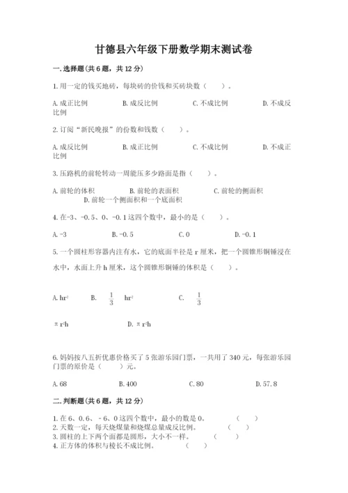 甘德县六年级下册数学期末测试卷（精练）.docx