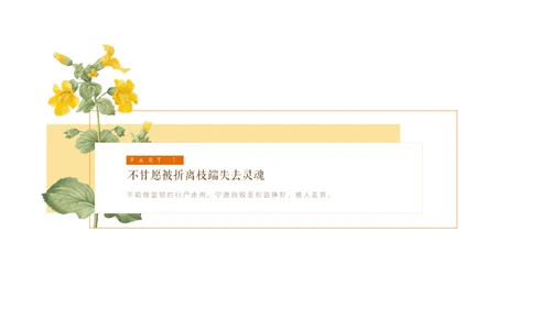 清醒纪植物绘小清新文艺女青年通用PPT模板