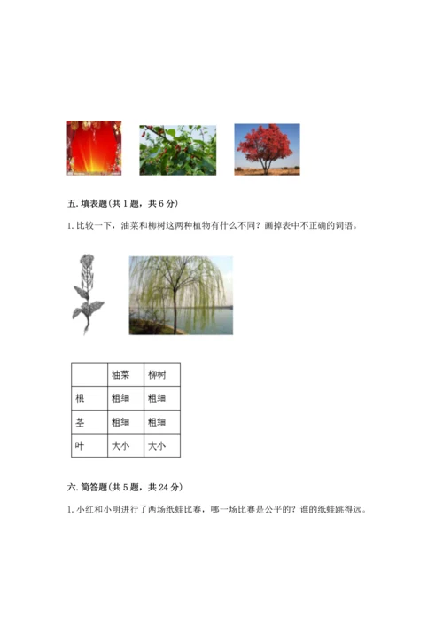 教科版一年级上册科学期末测试卷精品（名师系列）.docx