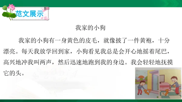 部编版二年级语文看图写话写动物课件