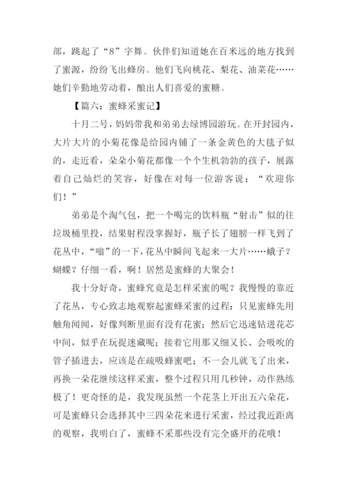 蜜蜂采蜜的作文.docx