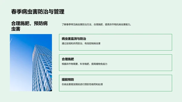 立春农事启动技巧PPT模板