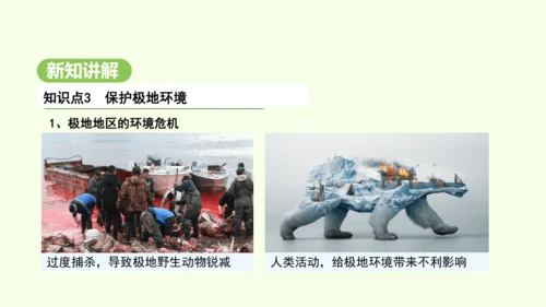 11.2 保护极地环境（课件19张）-2024-2025学年七年级地理下学期人教版(2024)