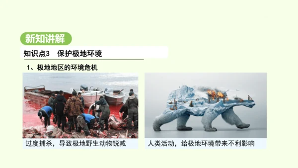 11.2 保护极地环境（课件19张）-2024-2025学年七年级地理下学期人教版(2024)