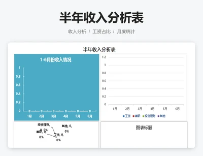 半年收入分析表