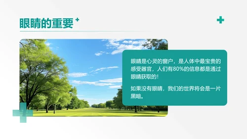 简约风格绿色医疗保健眼睛保护知识科普PPT