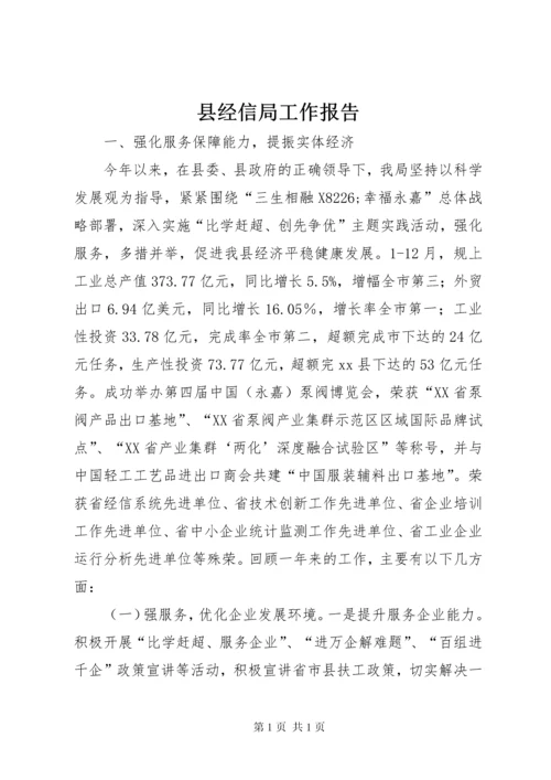 县经信局工作报告.docx