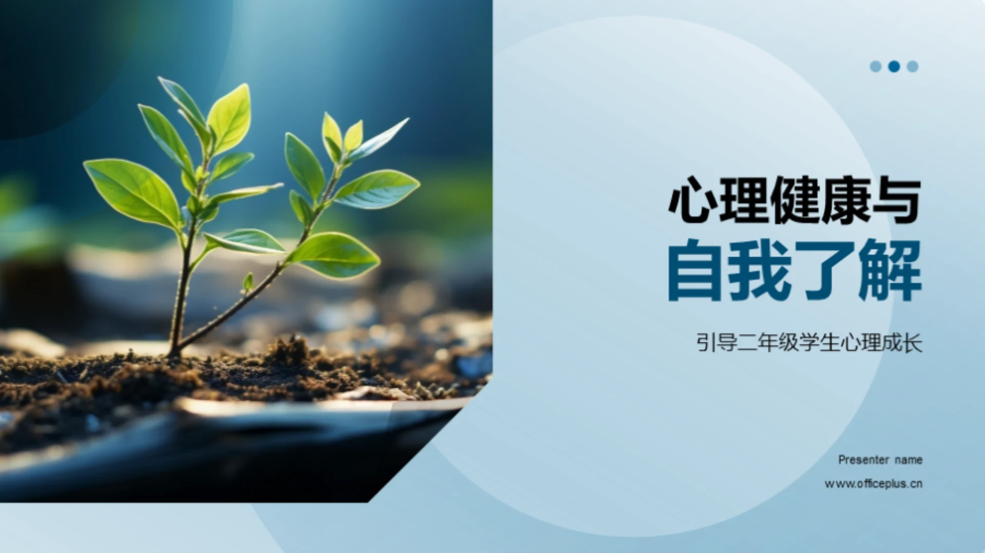 心理健康与自我了解