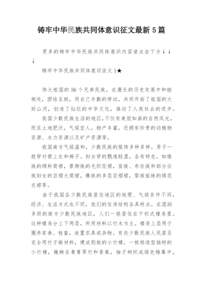 铸牢中华民族共同体意识征文最新5篇.docx