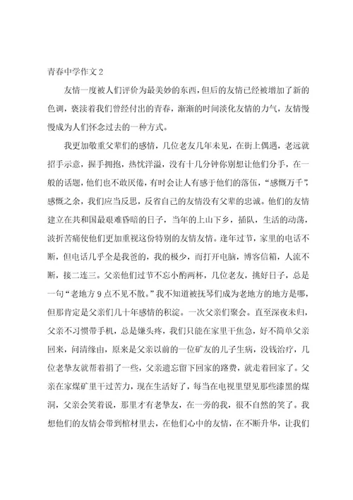 青春高中作文