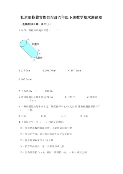 杜尔伯特蒙古族自治县六年级下册数学期末测试卷（综合题）.docx