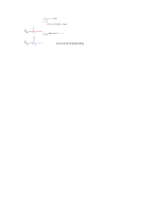 神经肌肉综合实验