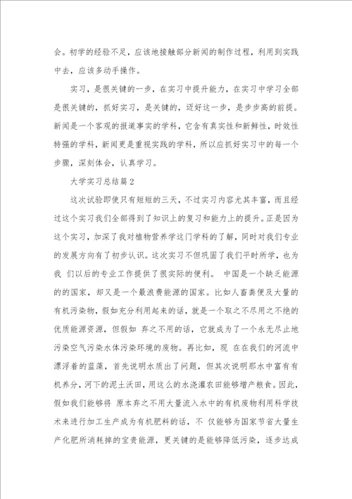 2021年大学实习总结精选范文