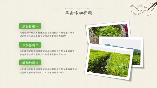 茶叶茶艺茶道春茶绿茶农村旅游茶园茶文化ppt