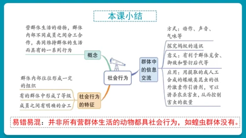 5.2.3社会行为课件-人教版生物八年级上册