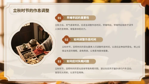 褐色中国风立秋养生PPT模板