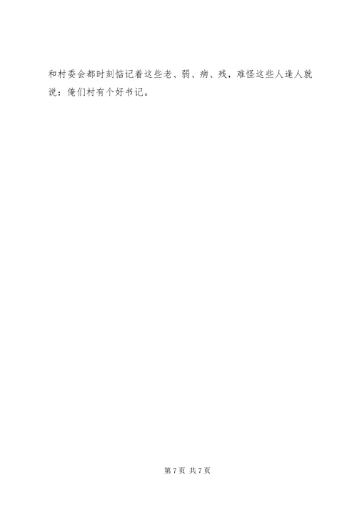 村民信赖的当家人村党支部书记的事迹.docx