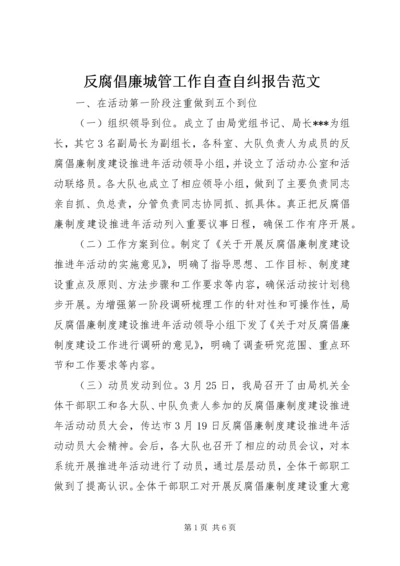 反腐倡廉城管工作自查自纠报告范文.docx