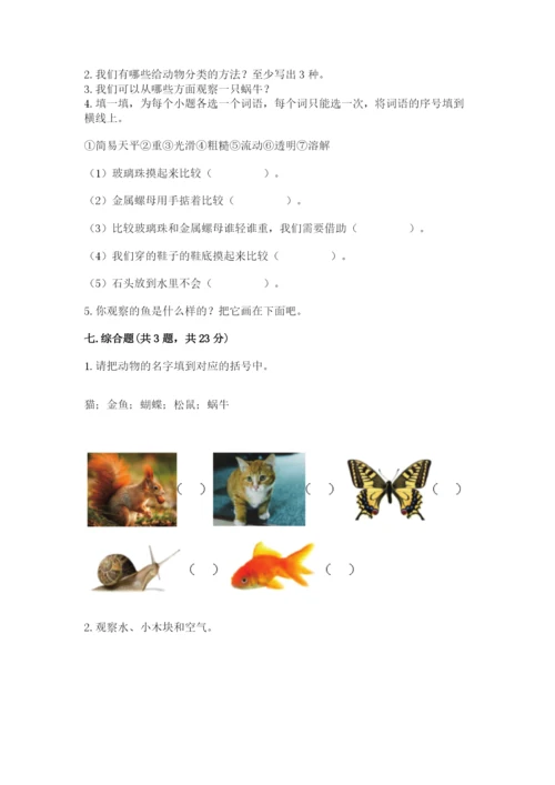 教科版小学科学一年级下册期末测试卷带答案.docx