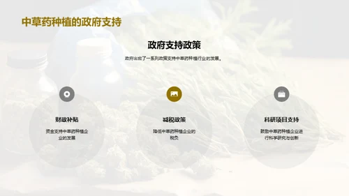 中草药产业的崭新征程