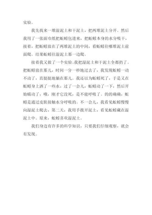 我的发现作文400字蚯蚓.docx