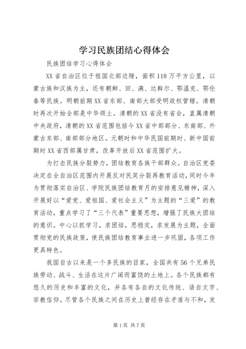 学习民族团结心得体会 (6).docx