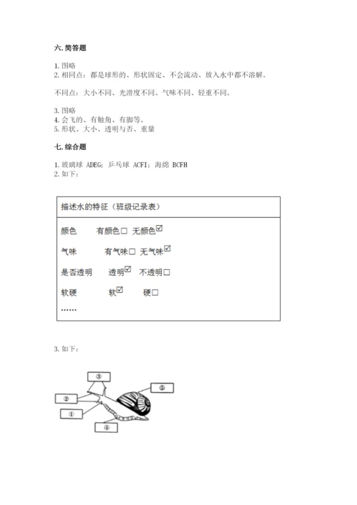教科版一年级下册科学期末测试卷【轻巧夺冠】.docx