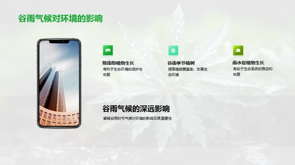 谷雨节气与环保