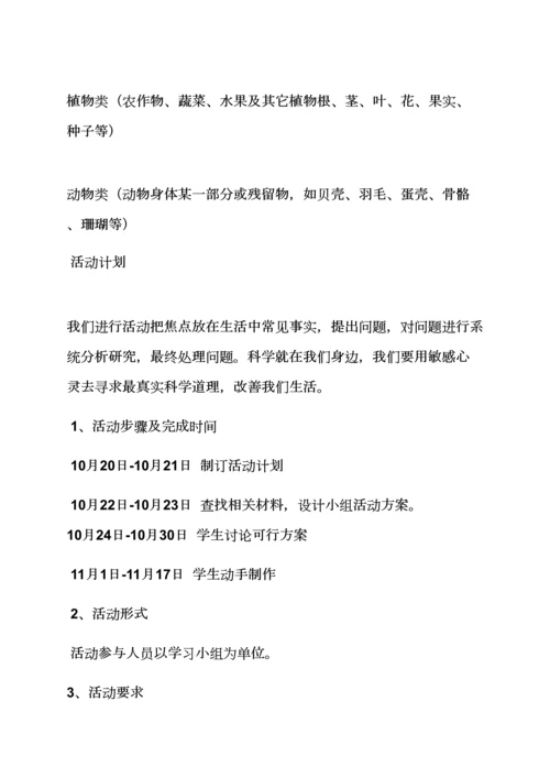 小学科技活动专项方案.docx