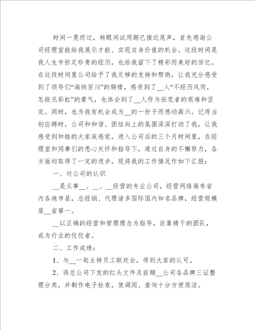 公司新员工试用期工作总结模板工作总结范文