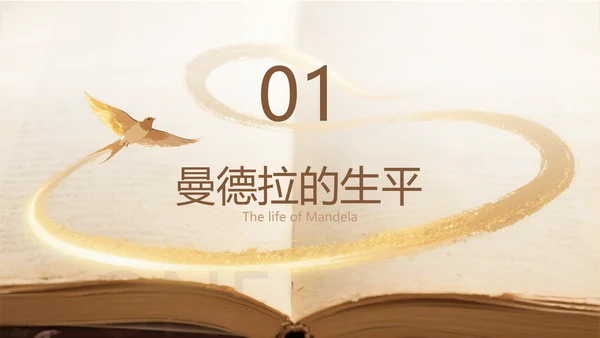 黄色简约风人物事迹介绍PPT