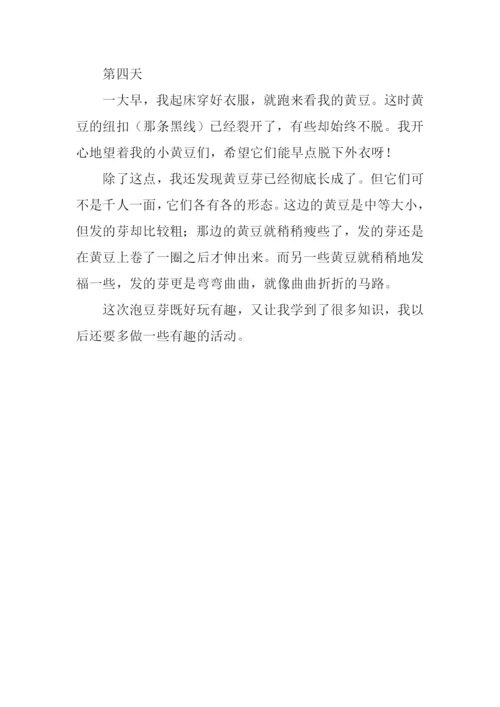 泡豆记作文0.docx