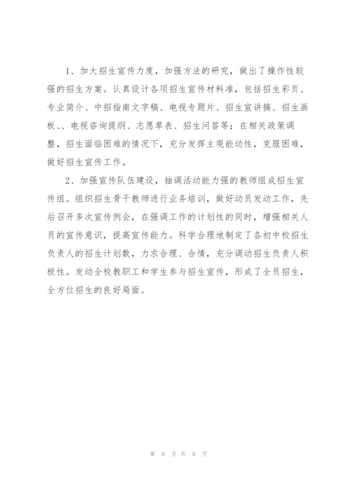 招生办工作总结范文模版.docx