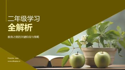 二年级学习全解析